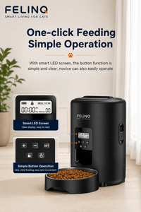 Felinq Automatic Cat Feeder 2L with Timed Portion Control