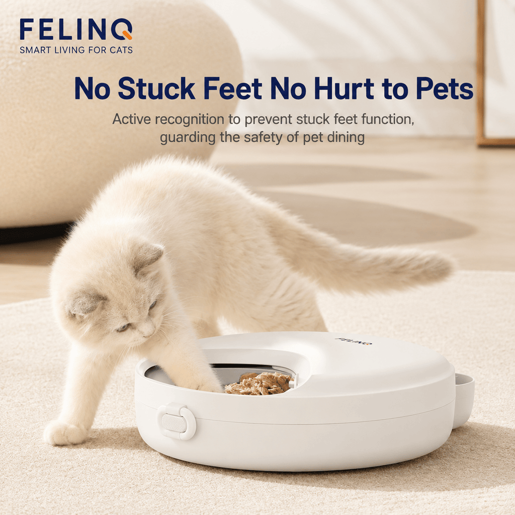 Felinq Automatic Cat Feeder 4 Meals for Wet & Dry Food
