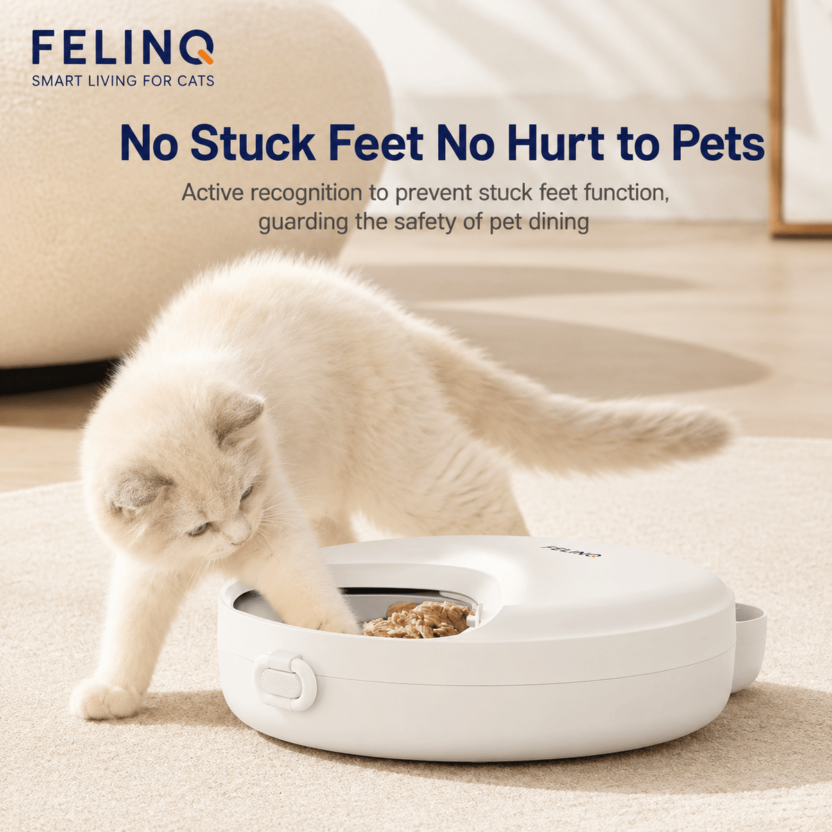 Felinq Automatic Cat Feeder 4 Meals for Wet & Dry Food