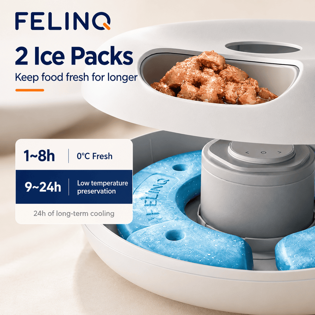 Felinq Automatic Cat Feeder 6 Meals for Wet & Dry Food