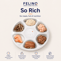 Felinq Automatic Cat Feeder 6 Meals for Wet & Dry Food