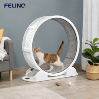 Felinq Cat Exercise Wheel with Digital Tracker | Solar Powered