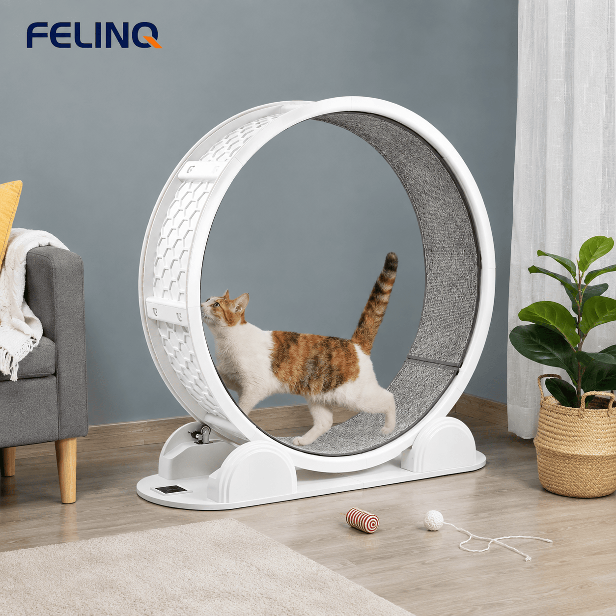 Felinq Cat Exercise Wheel with Digital Tracker | Solar Powered