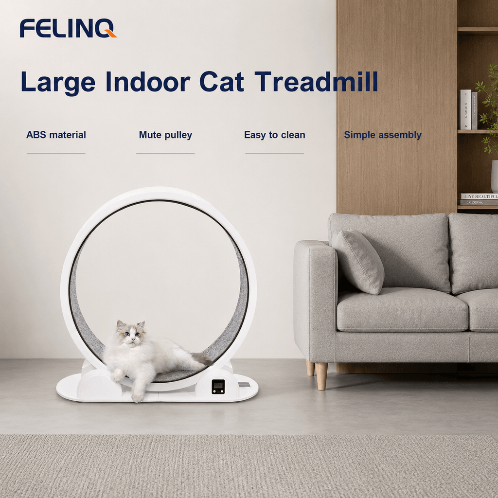 Felinq Cat Exercise Wheel with Digital Tracker | Solar Powered
