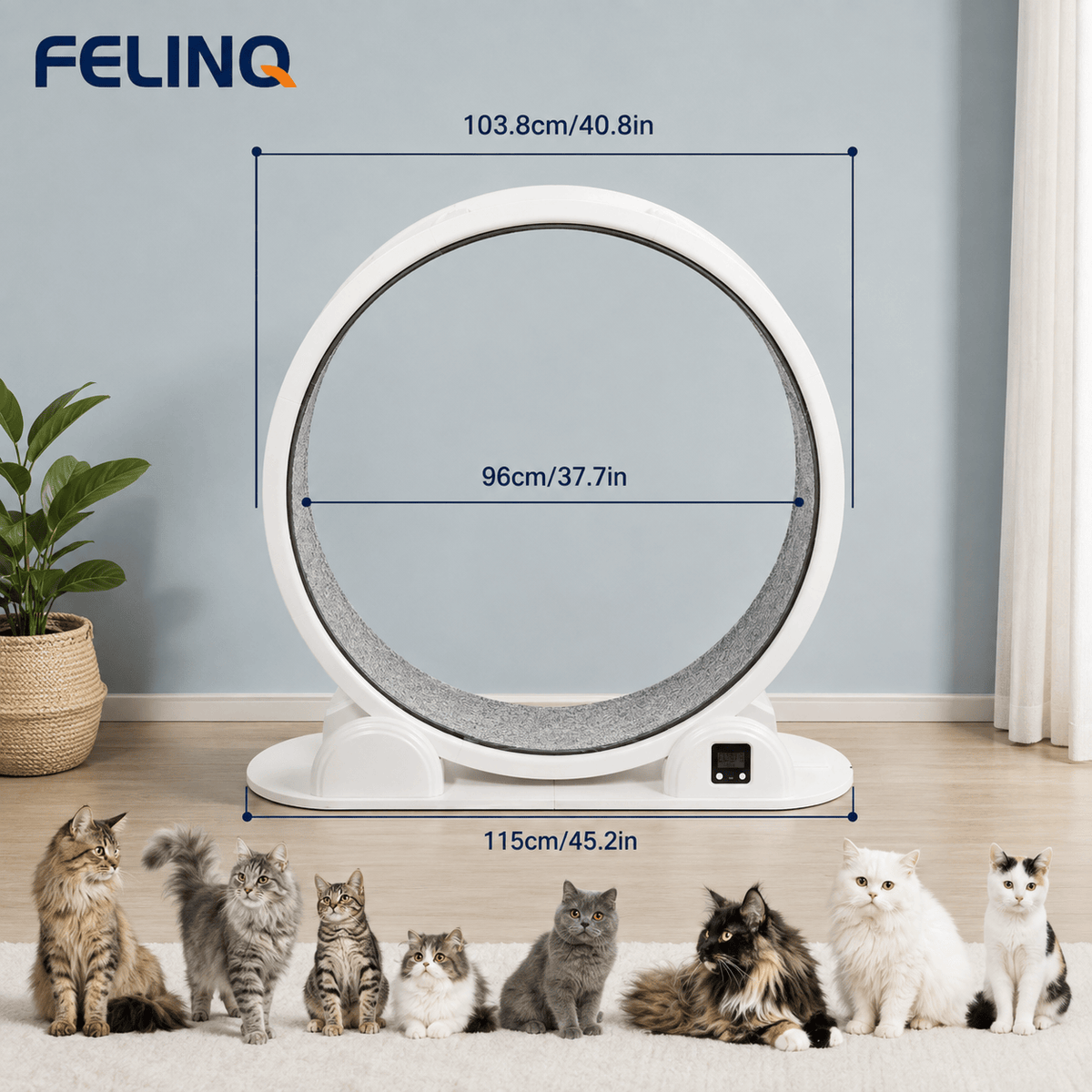 Felinq Cat Exercise Wheel with Digital Tracker | Solar Powered