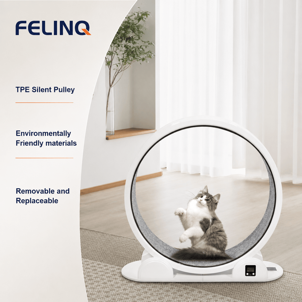 Felinq Cat Exercise Wheel with Digital Tracker | Solar Powered