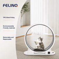 Felinq Cat Exercise Wheel with Digital Tracker | Solar Powered
