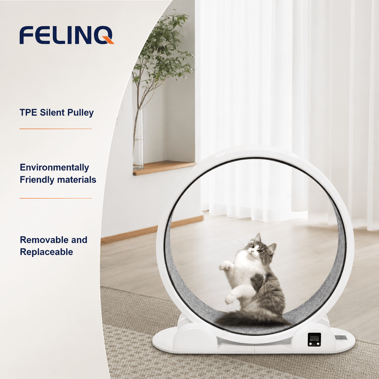 Felinq Cat Exercise Wheel with Digital Tracker | Solar Powered