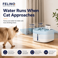 Felinq Cordless Cat Water Fountain 3.5L | Stainless Steel