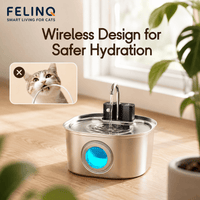 Felinq Cordless Cat Water Fountain 3L with Motion Sensor