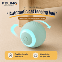 Felinq Interactive Cat Ball | Automatic Rolling Toy