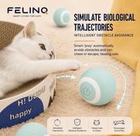 Felinq Interactive Cat Ball | Automatic Rolling Toy