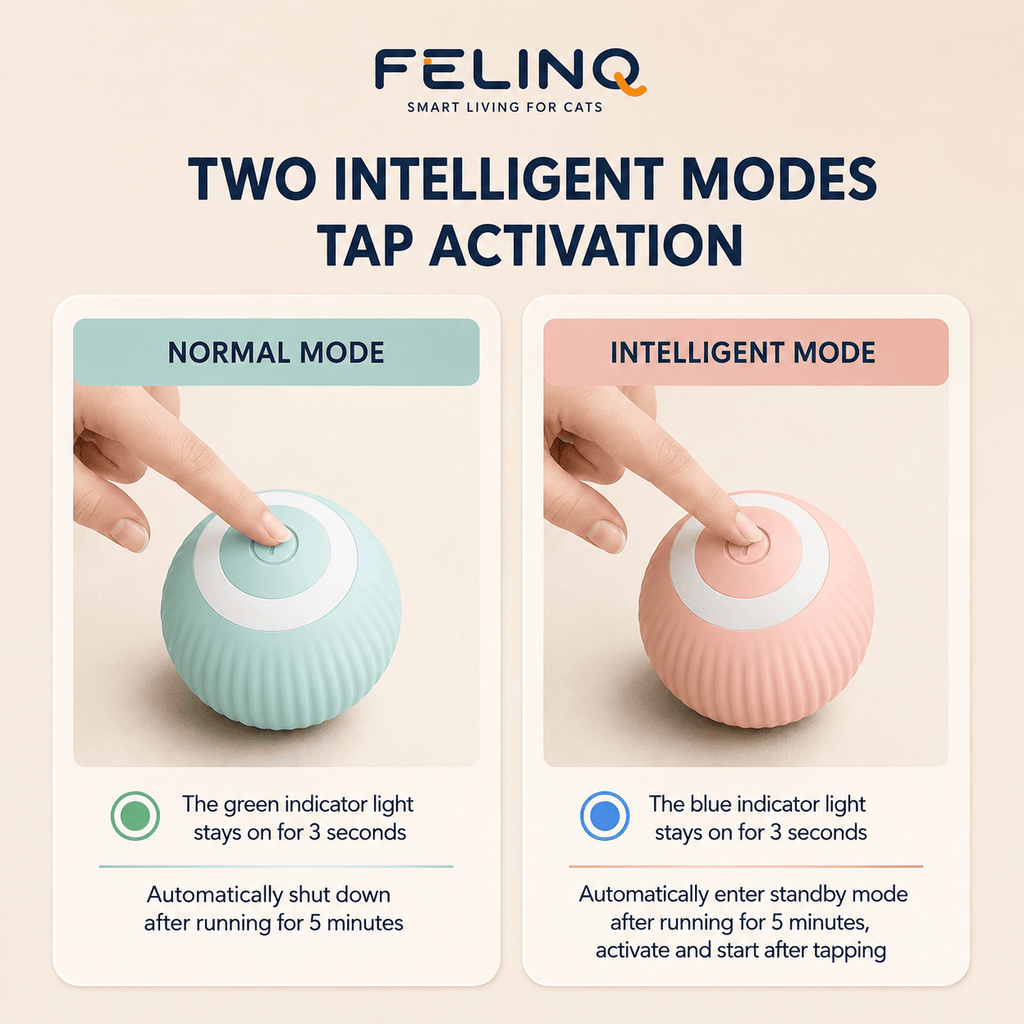 Felinq Interactive Cat Ball | Automatic Rolling Toy