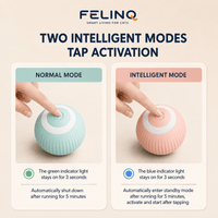 Felinq Interactive Cat Ball | Automatic Rolling Toy