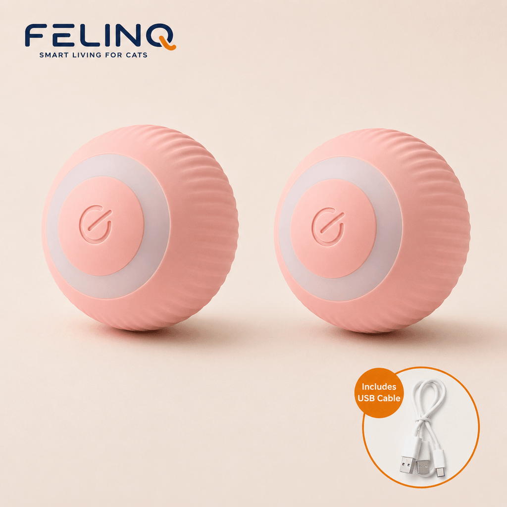 Felinq Interactive Cat Ball | Automatic Rolling Toy