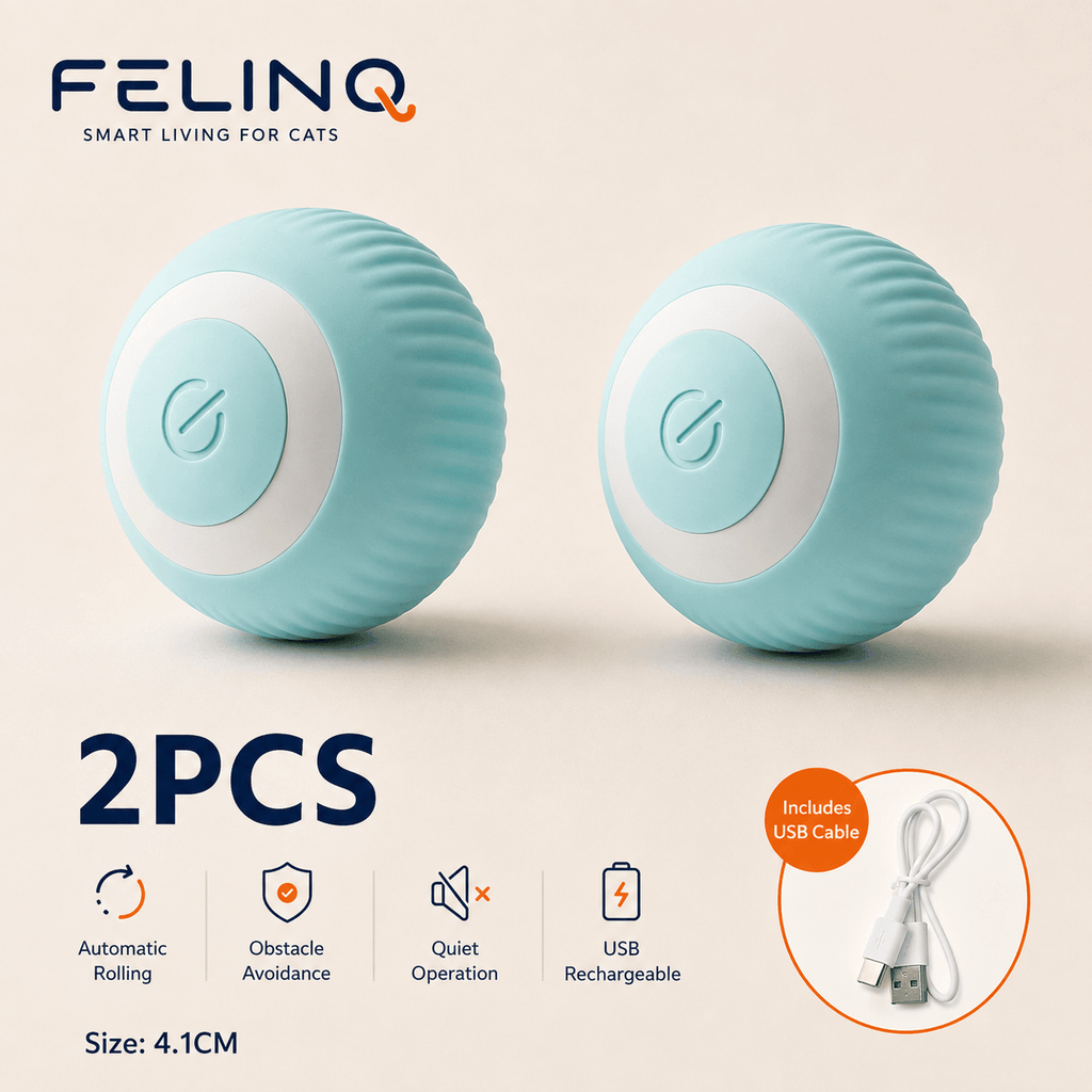 Felinq Interactive Cat Ball | Automatic Rolling Toy