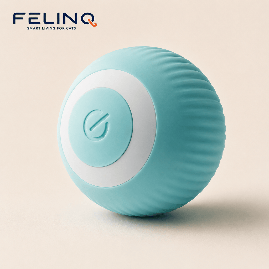 Felinq Interactive Cat Ball | Automatic Rolling Toy