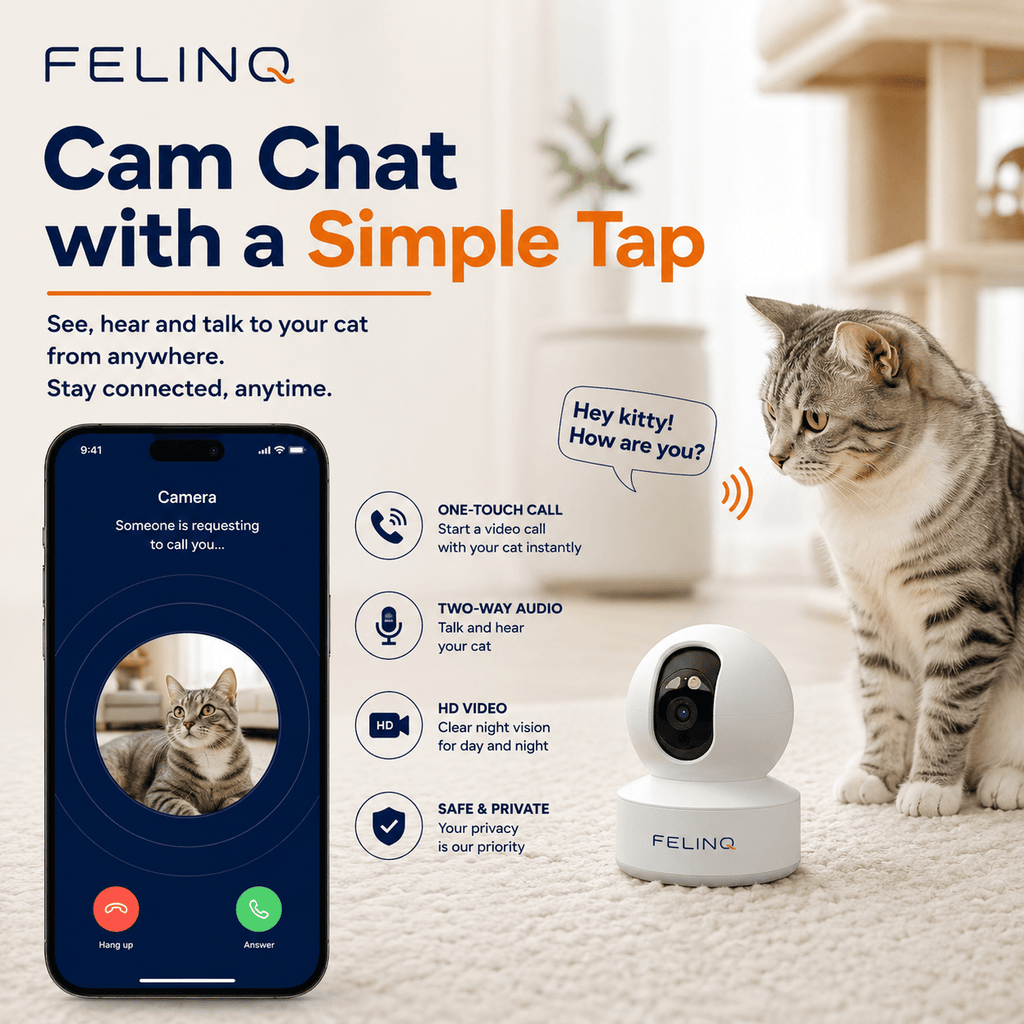 Felinq Smart Indoor Cat Camera 360°
