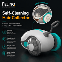 Felinq Smart Interactive Cat Car – Automatic & Remote Control