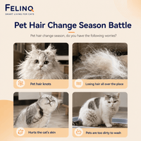 Felinq Steam Cat Grooming Brush – Spray & Hair Removal Comb