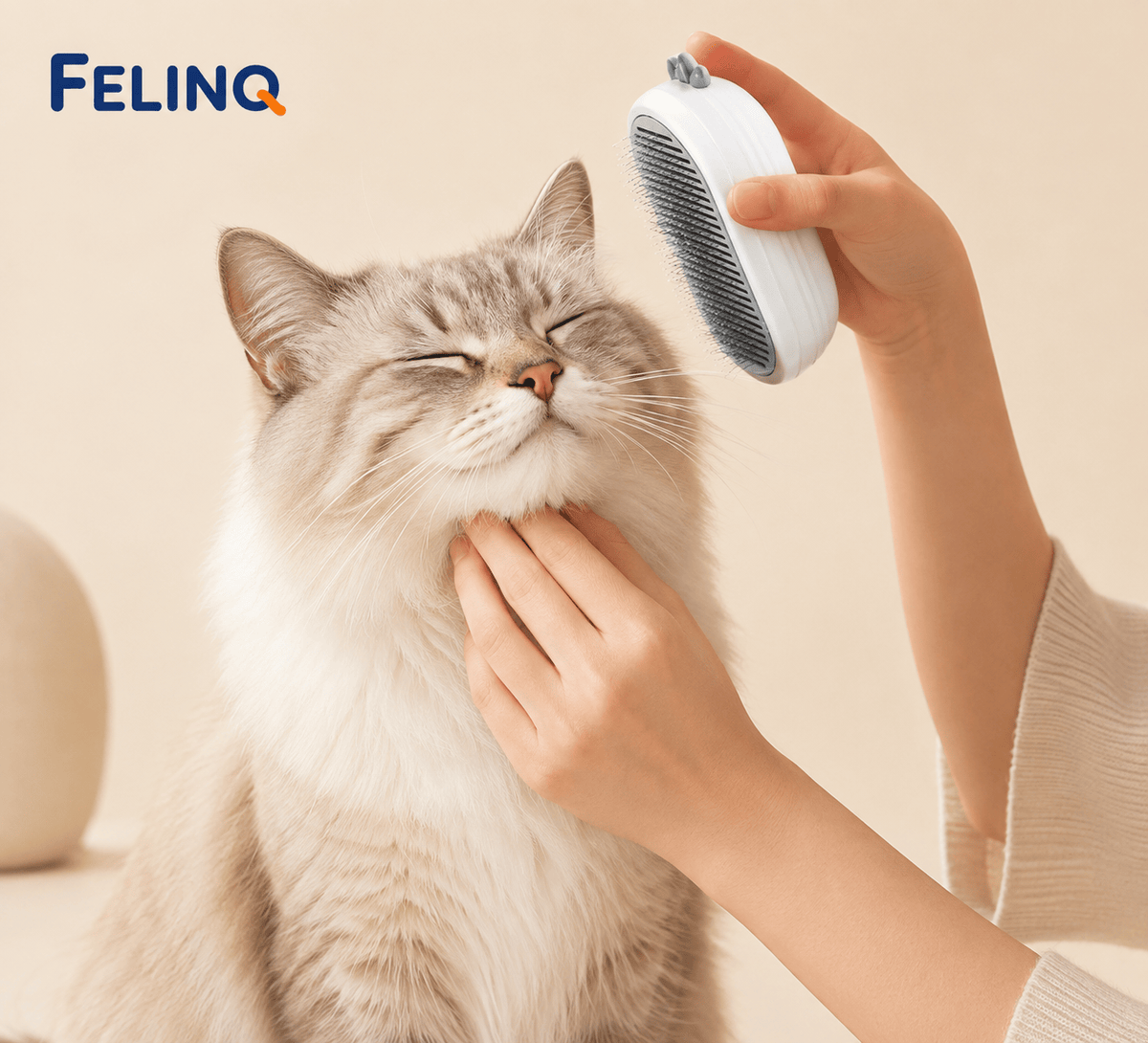 Felinq Steam Cat Grooming Brush – Spray & Hair Removal Comb