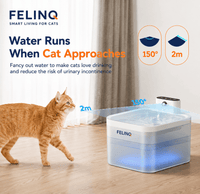 Felinq Wireless Cat Water Fountain